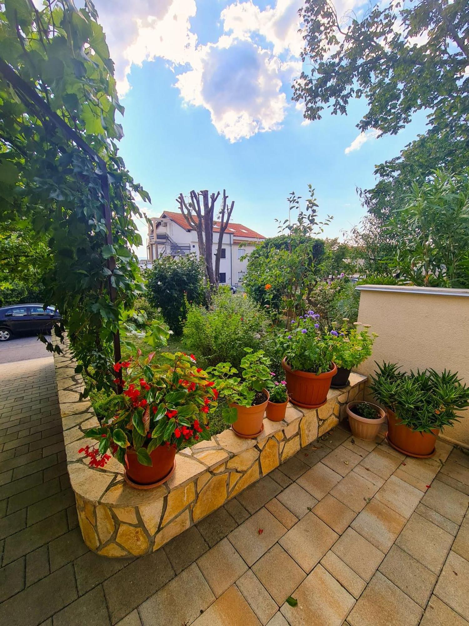 Apartments Marko โนวีวีโนดอลสกี ห้อง รูปภาพ